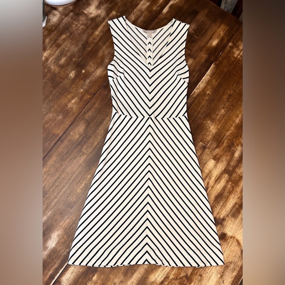 Banana Republic Fit & Flare V-Neck A-Line White and Black Striped Dress